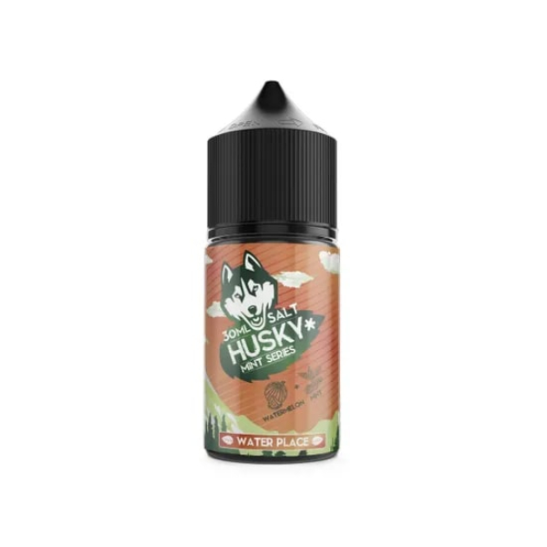 Жидкость Husky salt Mint series Water Place (Арбуз холодок) (30 мл, 20 мг/мл) в Воркуте