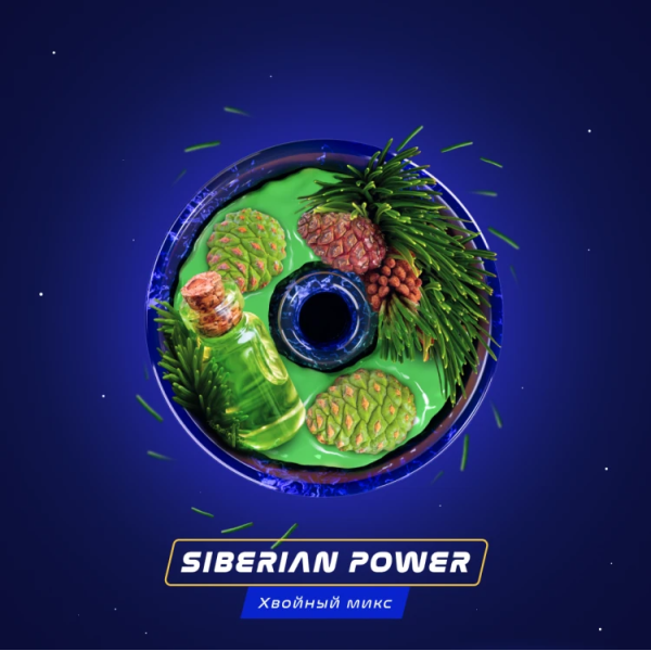 Паста Space Smoke BASIC Siberian Power (Хвоя Сосна Пихта) 30 гр в Воркуте